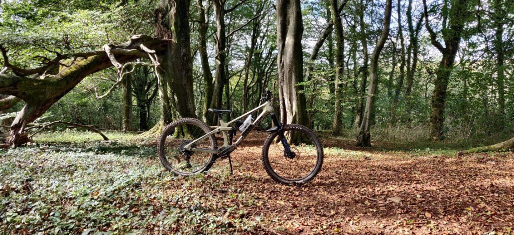 bike in garth woods